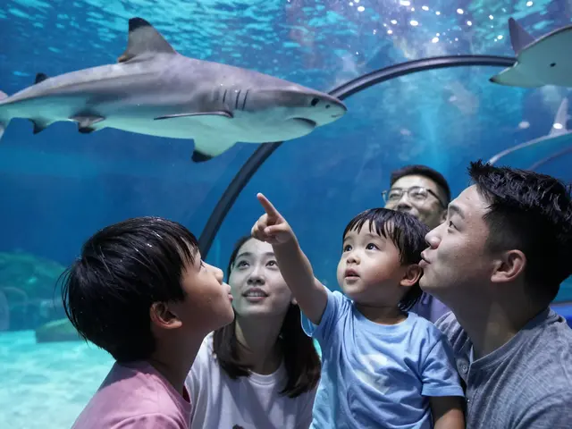 A Guide to Dubai Mall's Family-Friendly Attractions and Activities