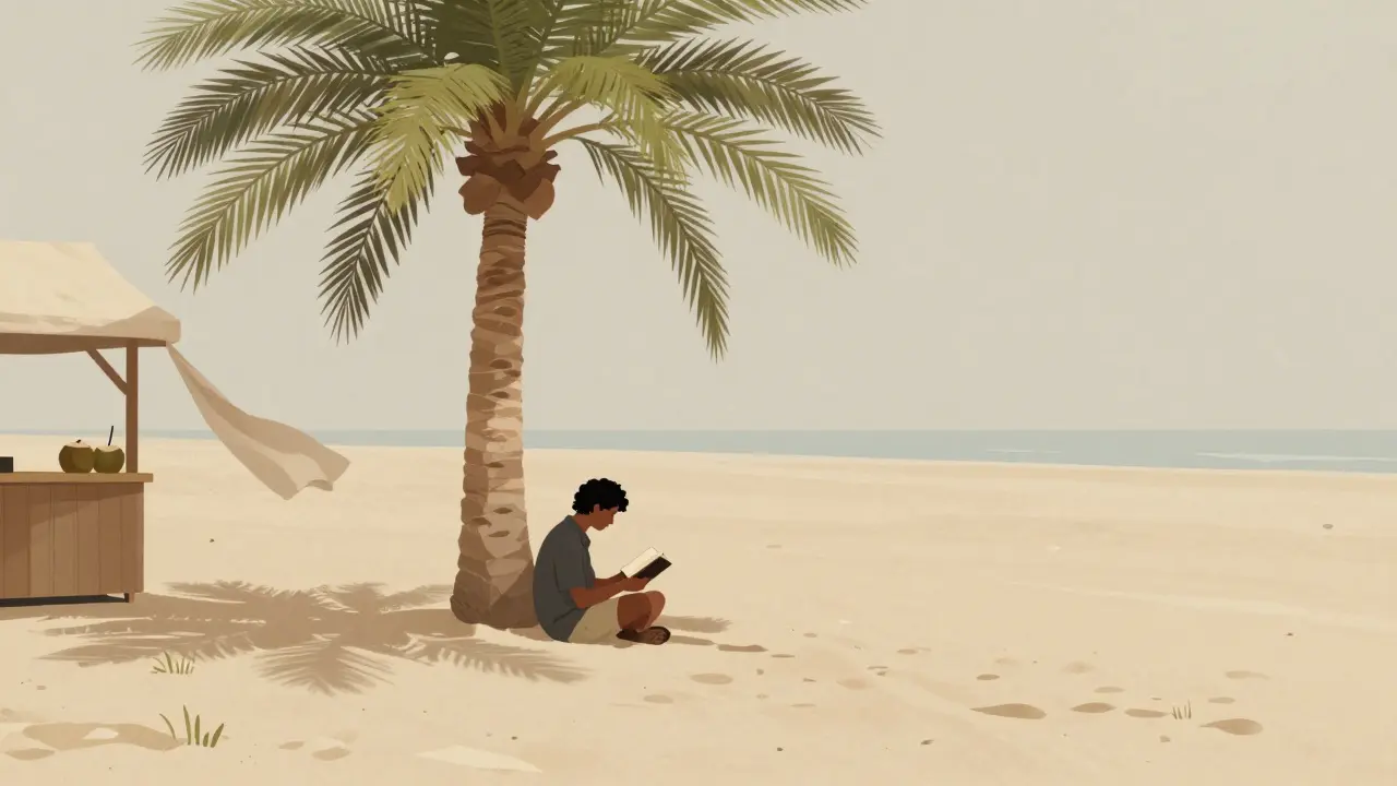 A solitary person reads beside a palm tree at quiet Al Sufouh Beach Club, no crowds in sight.